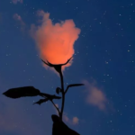 Fazendo arte com nuvens e silhuetas