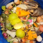 Floripa implanta coleta de lixo orgânico porta a porta