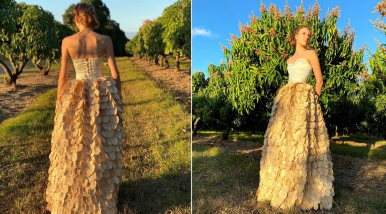 Australiana transforma caroços de manga em vestido