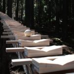 Xilofone gigante de madeira na floresta japonesa toca as notas da Cantata de Bach 147