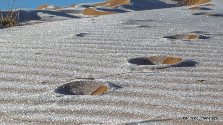 O deserto do Saara foi coberto por cristais brilhantes durante uma rara poeira de gelo