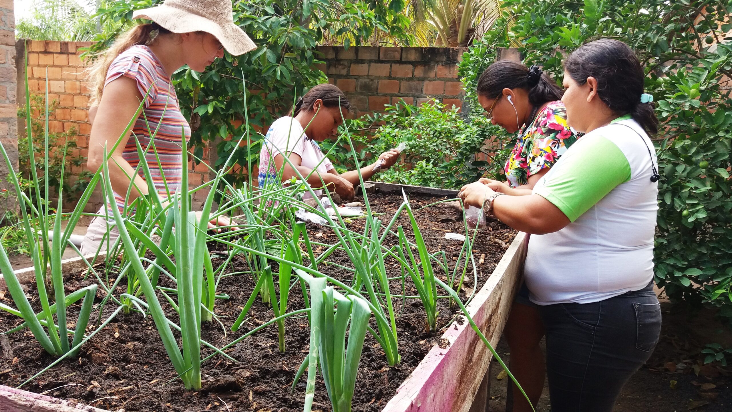 Projeto transforma espaços ociosos em hortas urbanas