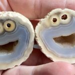 Ágata com Cookie Monster escondido