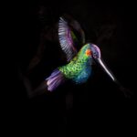 Artista usa corpo humano como tela para ilusões incríveis