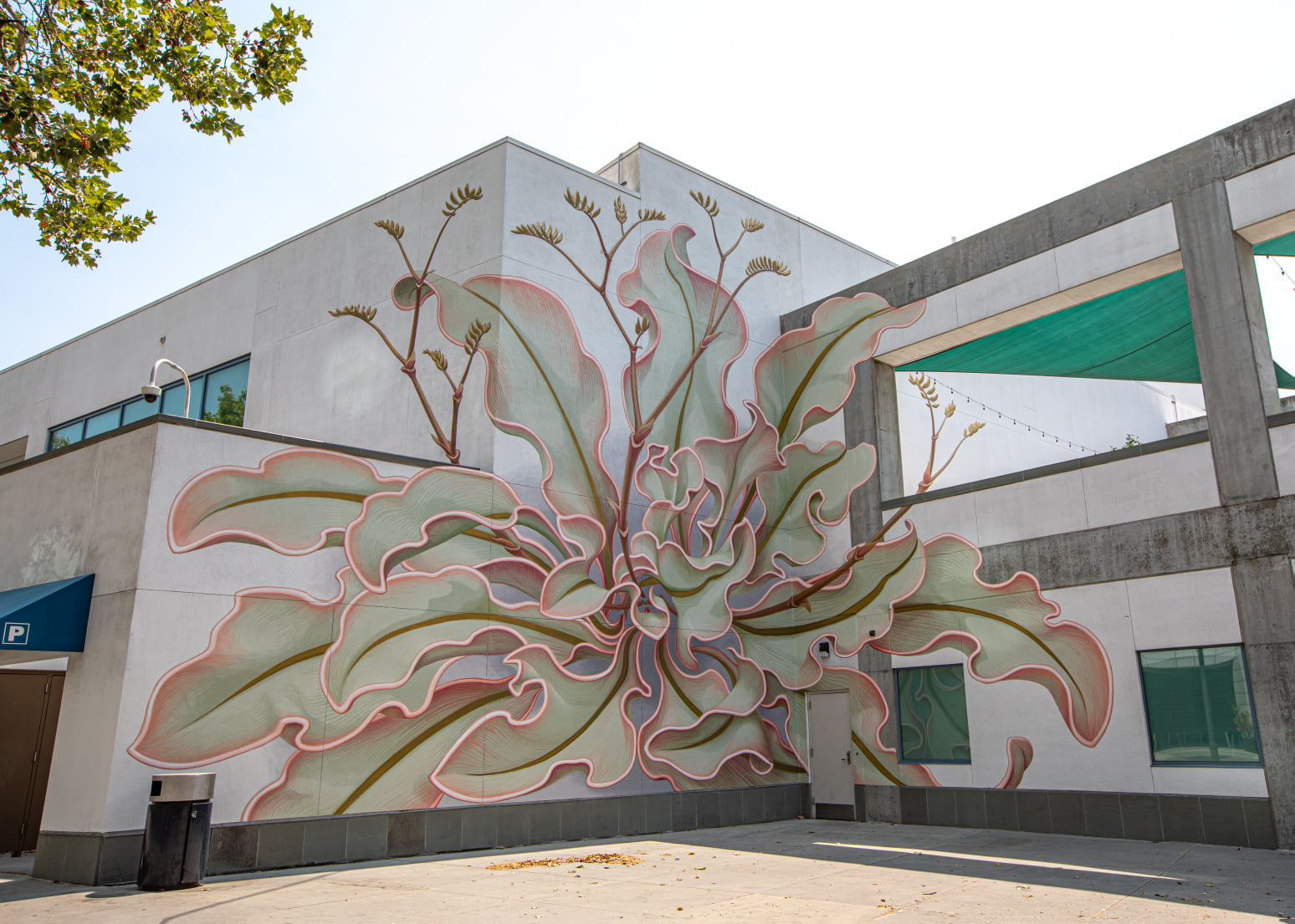 Artista cria delicados desenhos que dão outra cara para o ambiente