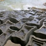 Pesquisadora produz material que contribui para preservação da fauna marinha