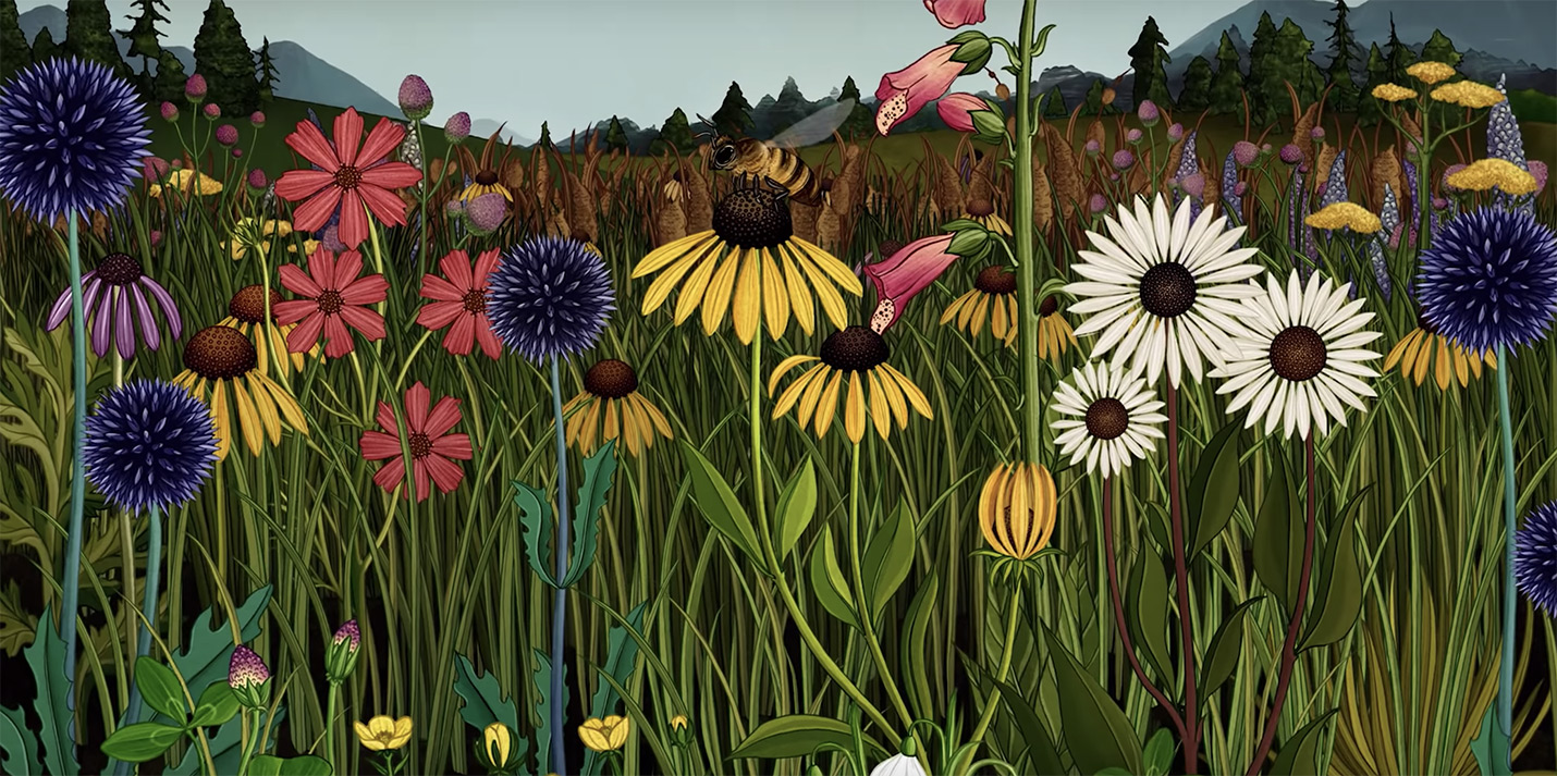 História das flores