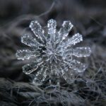 Este vídeo incrível de flocos de neve derretendo é hipnotizante