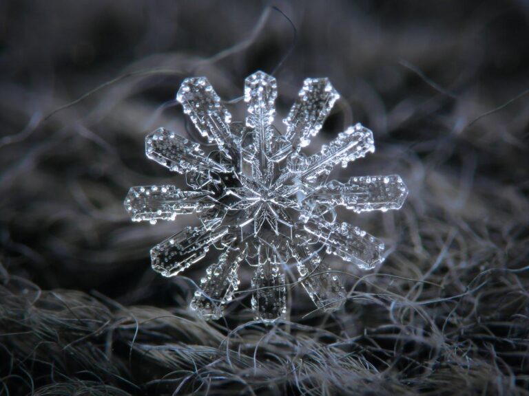 Este vídeo incrível de flocos de neve derretendo é hipnotizante