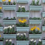 5 ideias baratas de como montar o seu jardim vertical ou horta suspensa orgânica em casa