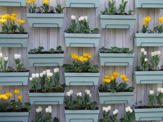5 ideias baratas de como montar o seu jardim vertical ou horta suspensa orgânica em casa