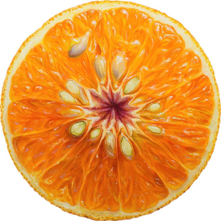 Pinturas circulares mostram lindas frutas cortadas ao meio