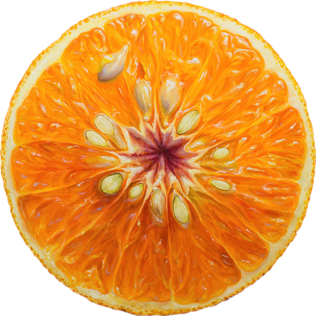 Pinturas circulares mostram lindas frutas cortadas ao meio