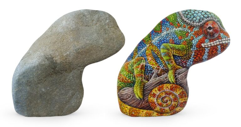 Pedras transformadas em animais hiper-realistas