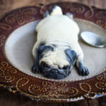 Pais fizeram estes bolos de cachorro para sua filha em vez dos tradicionais