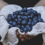 Como é feito o açaí? Entenda o processo que a palmeira passa para chegar a você