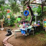 TiNis, o projeto que ajuda crianças e a natureza