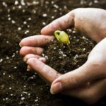 Como produzir Bokashi de Terra