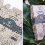 Sprout: embalagem que da para plantar criada a partir da coroa do abacaxi