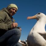 Pesquisadoras brasileiras se tornam referência na proteção dos oceanos