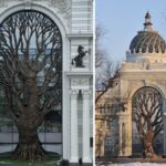 Arquitetura deslumbrante é comemorada por comunidade online