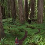 440 milhões de árvores vão ser plantadas na Irlanda