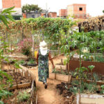 Projeto garante acesso à uma alimentação saudável para famílias em São Paulo