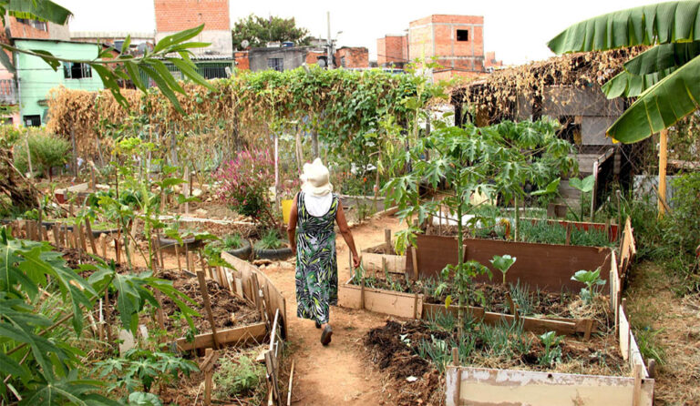 Projeto garante acesso à uma alimentação saudável para famílias em São Paulo