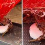 Brooke encontra uma aranha gigante no caminhão de brinquedo do filho