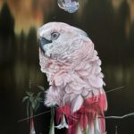 Artista captura a beleza etérea de diferentes espécies de pássaros