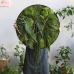 Artista usa plantas para capturar a beleza robusta de litorais e selvas