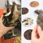 Designer suíça cria produtos 100% ecológicos com cascas de banana