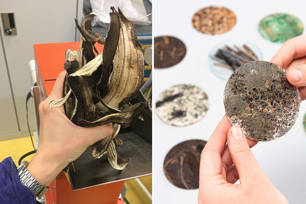 Designer suíça cria produtos 100% ecológicos com cascas de banana