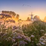 A beleza da Holanda na primavera capturada em fotos de tirar o fôlego