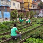 No Rio de Janeiro existe a maior horta comunitária da América Latina