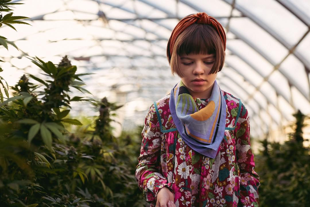 Charlotte Figi, símbolo da luta pela Cannabis Medicinal!