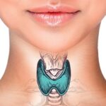 Tireoide: o uso do canabidiol para tratar doenças que afetam a glândula