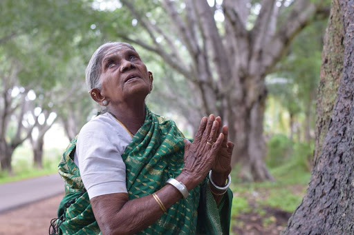 Conheça a história da indiana que plantou cerca de 10 mil árvores