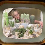 Mulher transforma TV antiga em terrário para coleção de cactos