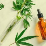 “A Cannabis mudou a realidade da nossa família”, diz neta de idosa com Alzheimer