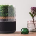 Conheça briiv, o purificador de ar biodegradável