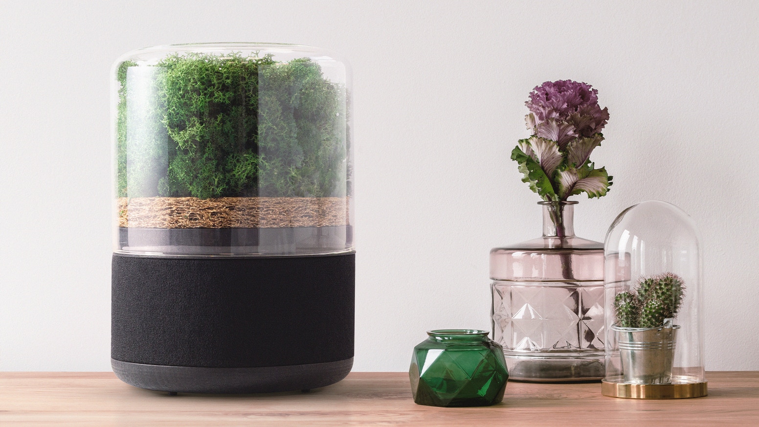 Conheça briiv, o purificador de ar biodegradável