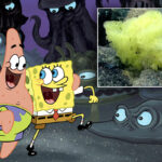 Bob Esponja e Patrick são ‘flagrados’ por biólogo marinho