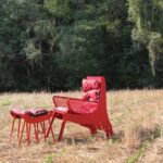 Alunos brasileiros criam “couro” de kombucha