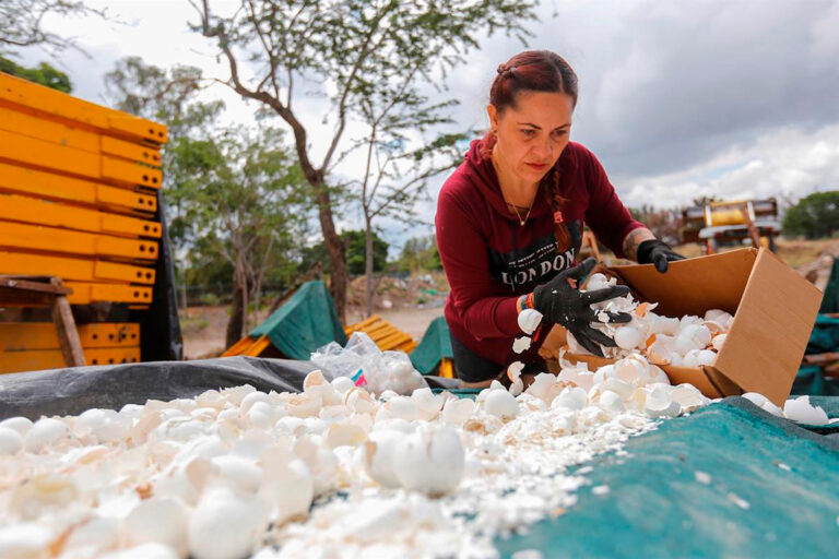 Cascas de ovos são matéria-prima para despoluir rio no México