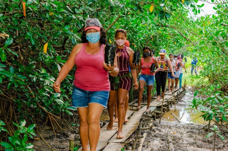 Projeto executa ações sociais em manguezais da Amazônia