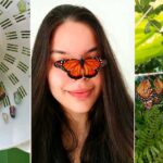 Menina faz ‘berçário’ para borboletas com escorredor de macarrão p’ra ajuda-las a viver