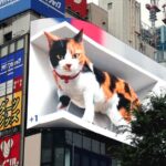 Gato 3D gigante chama atenção em tela de alta definição no Japão