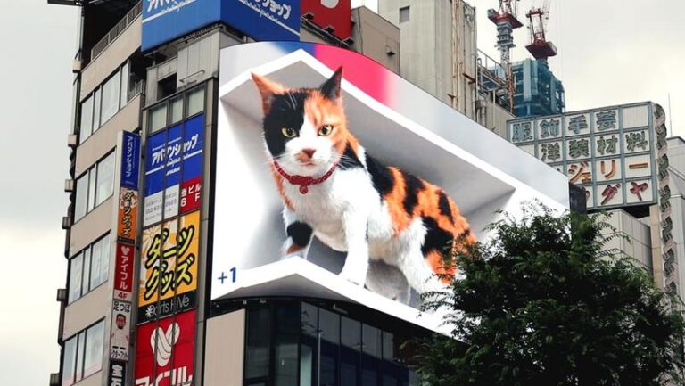Gato 3D gigante chama atenção em tela de alta definição no Japão