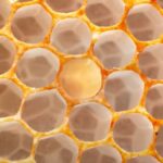 Fotógrafo amplia uma única célula do favo de mel usando uma lente macro para revelar seus padrões